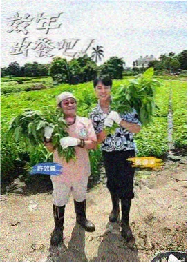 樱挑视频综艺看点资讯配图